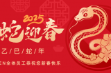 辭舊迎新，蛇舞華章丨深圳容金科技全體員工祝您新春快樂！